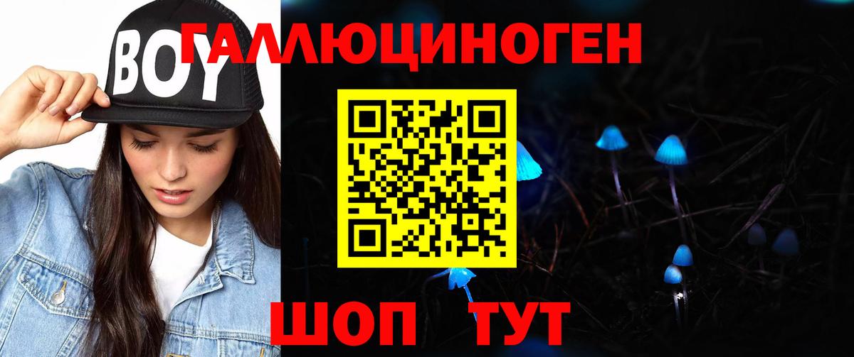 Псилоцибиновые грибы мицелий Гуково