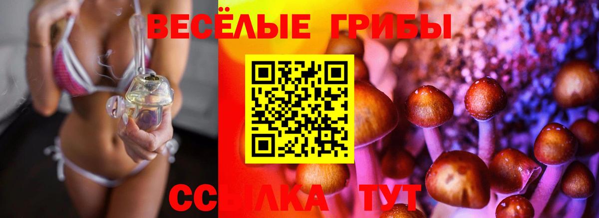 Гуково  Галлюциногенные грибы прущие грибы  Вход с VPN 